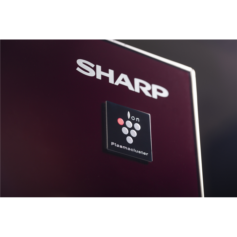 Sharp SJGX98PRD