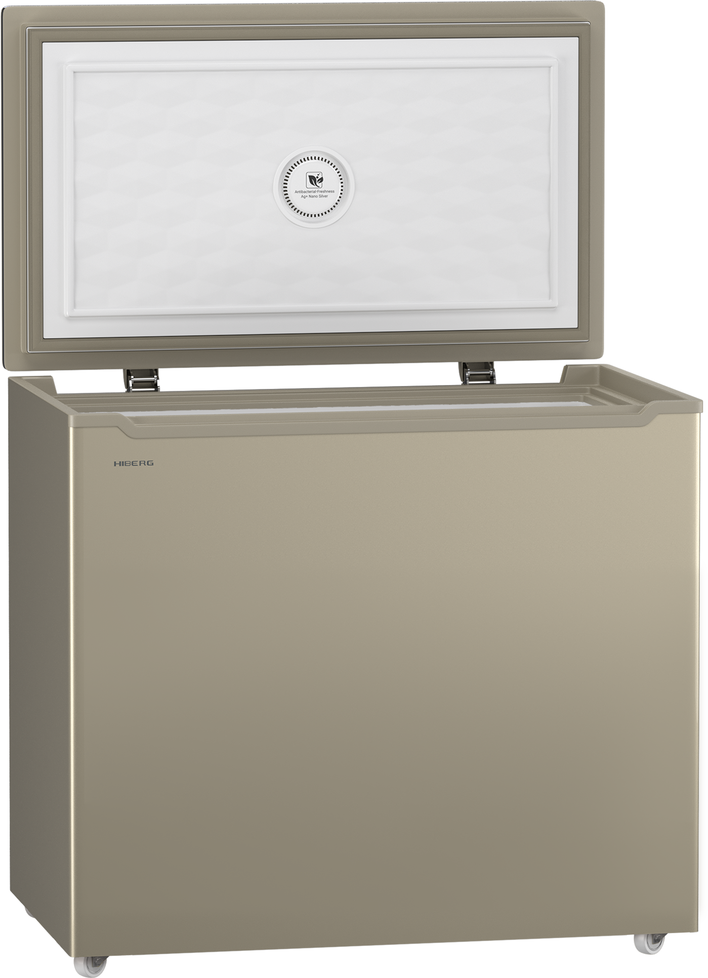 HIBERG PF 25 NFG